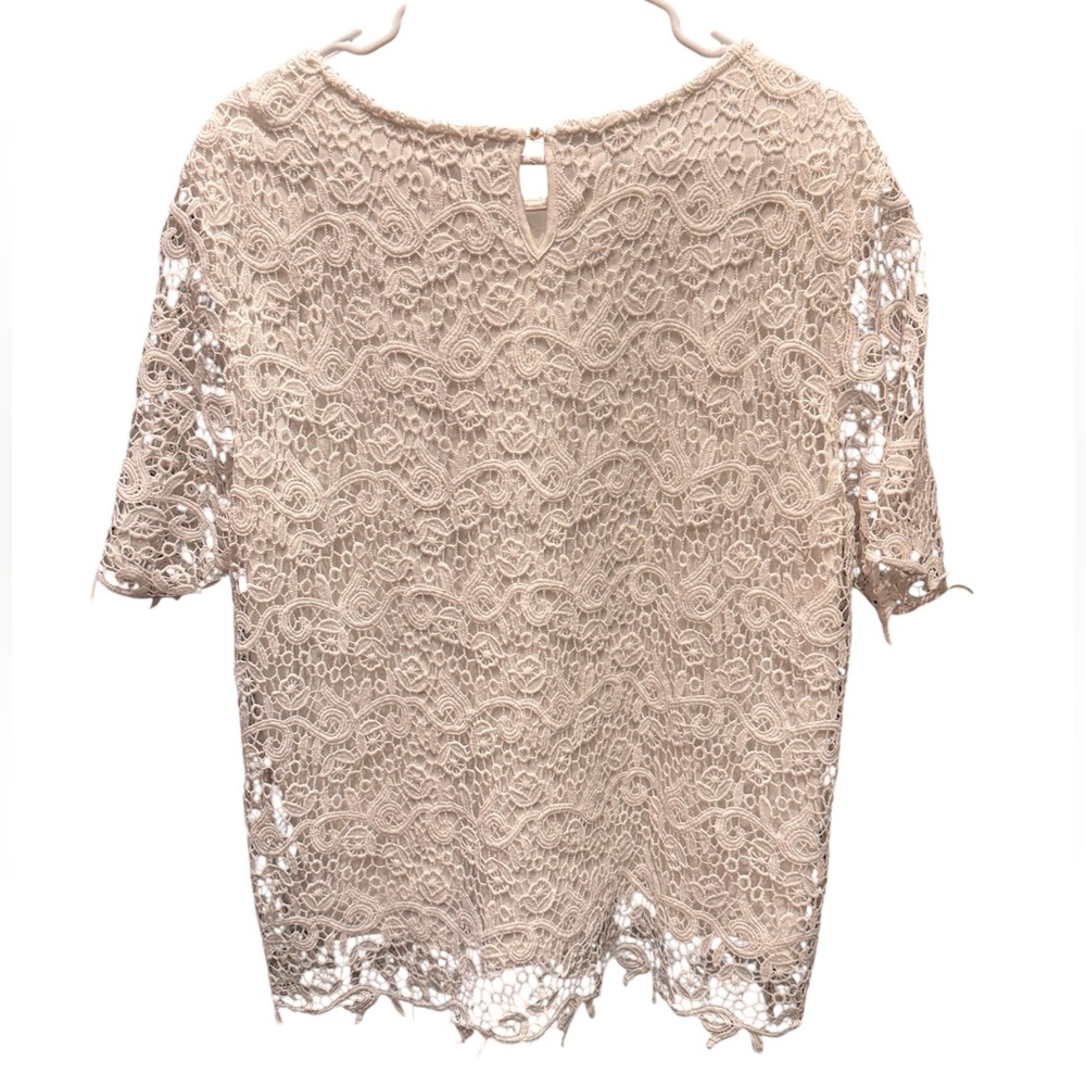 Philosophy Cream Lace Top XXL - Picture 3 of 6